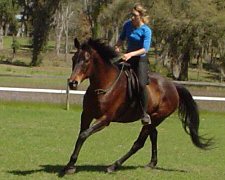 vertical flexion