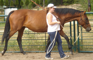 standing