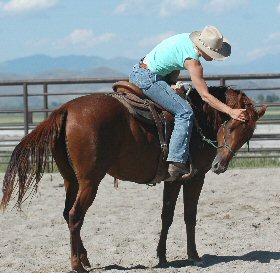 Lateral Flexion